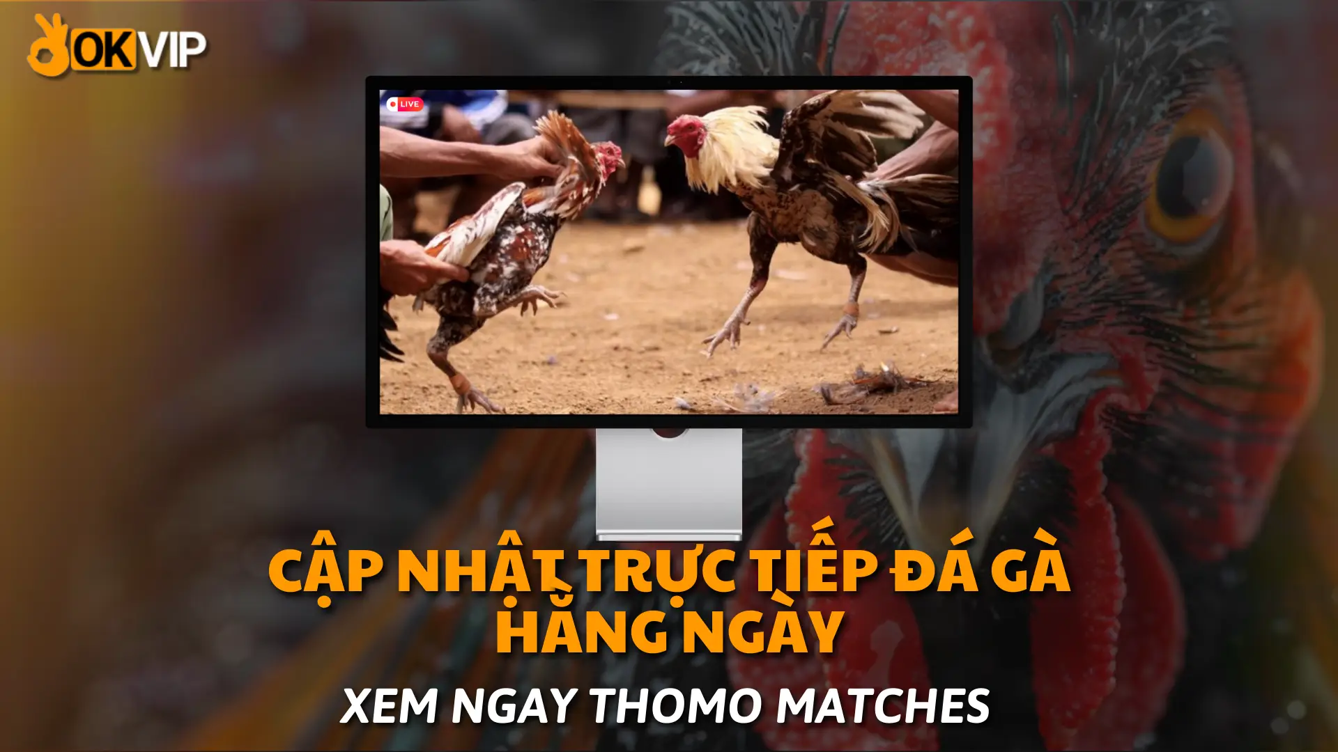 Trực Tiếp Đá Gà